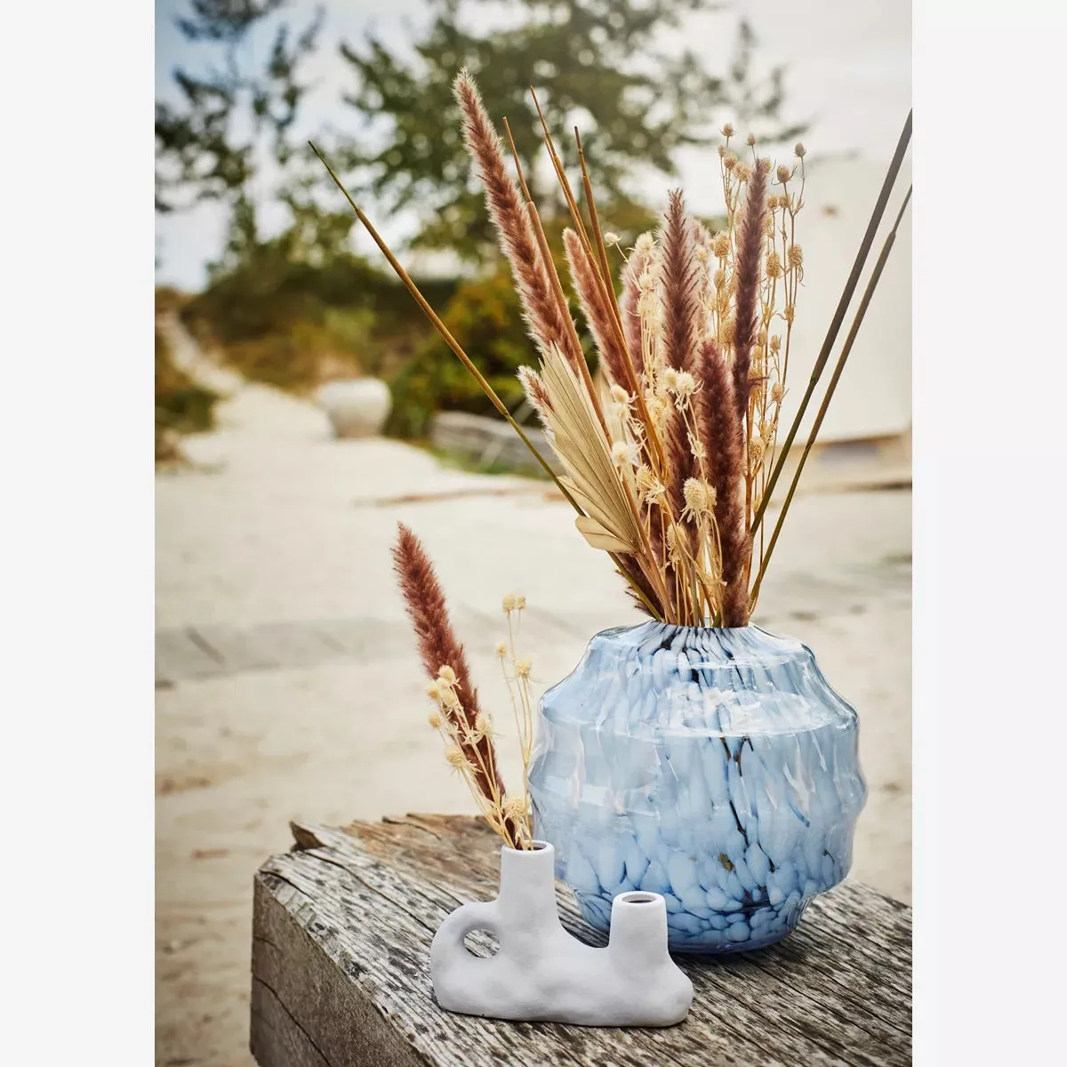 Dried Eryngium Planum Flowers - Off White