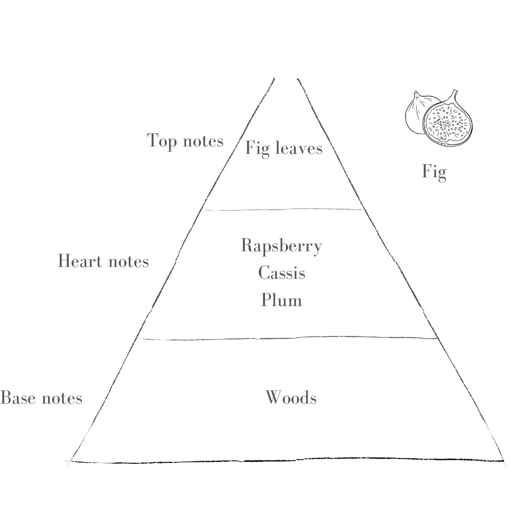 Fig Refill