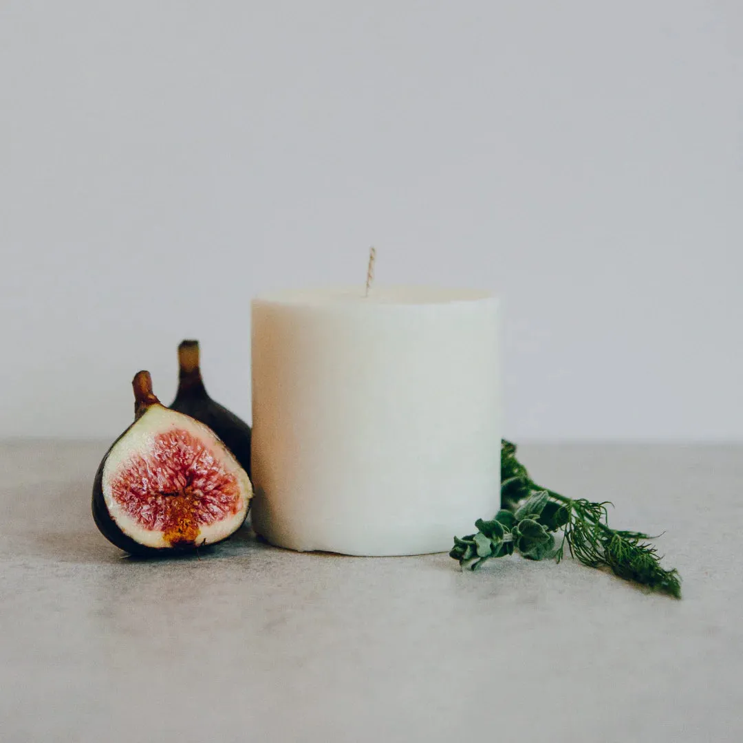 Fig Refill