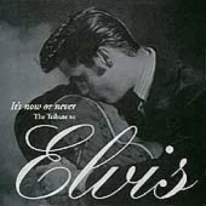 It's Now Or Never - Elvis Tribute