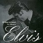 It's Now Or Never - Elvis Tribute