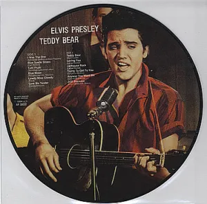 Teddy Bear Picture Disc